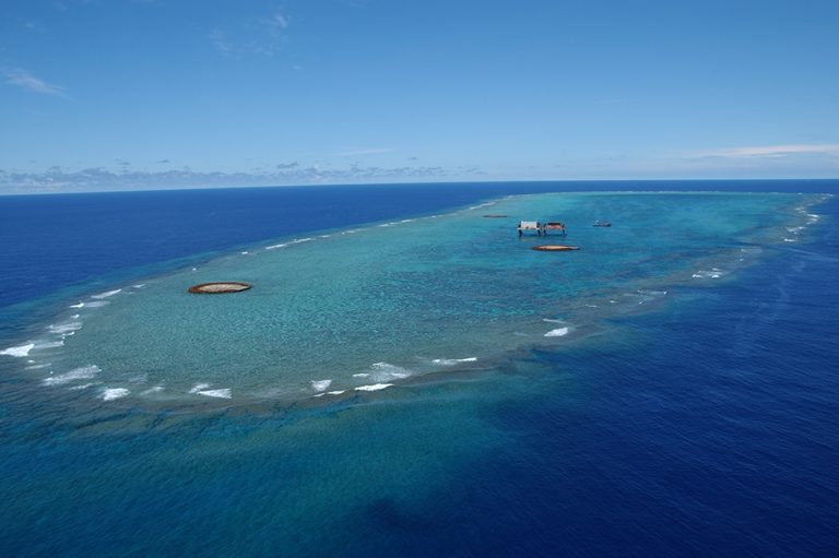 Growing Coral to Keep a Sea Claim Above Water