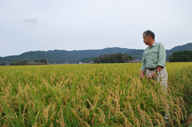 In Hardest-Hit Areas in Japan, Life Remains a Struggle After 2011 Tsunami